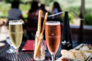 开云体育注册app-沙尔克04连续颓势，降级风险加大