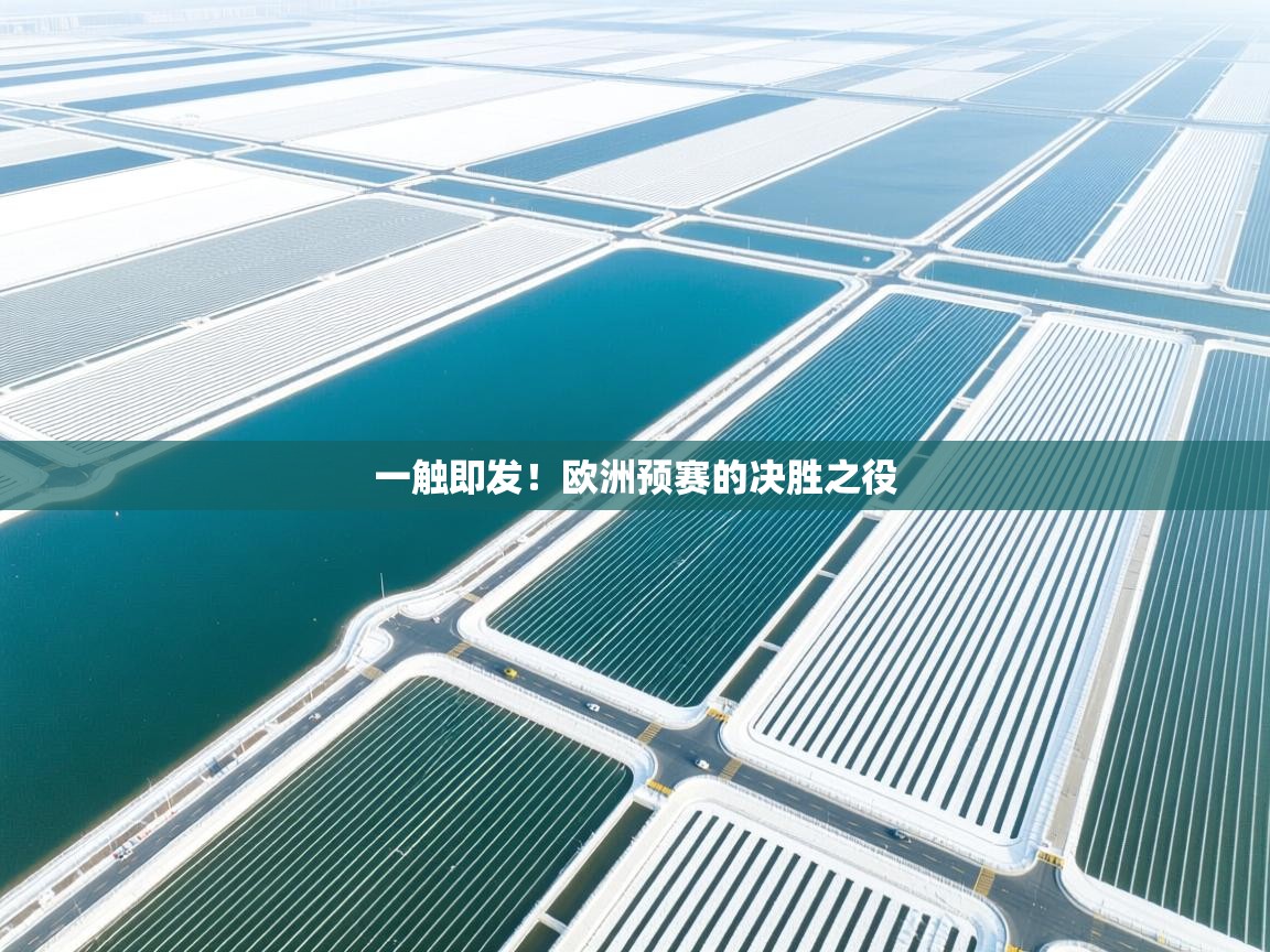 开云体育app安装-一触即发!欧洲预赛的决胜之役 第2张