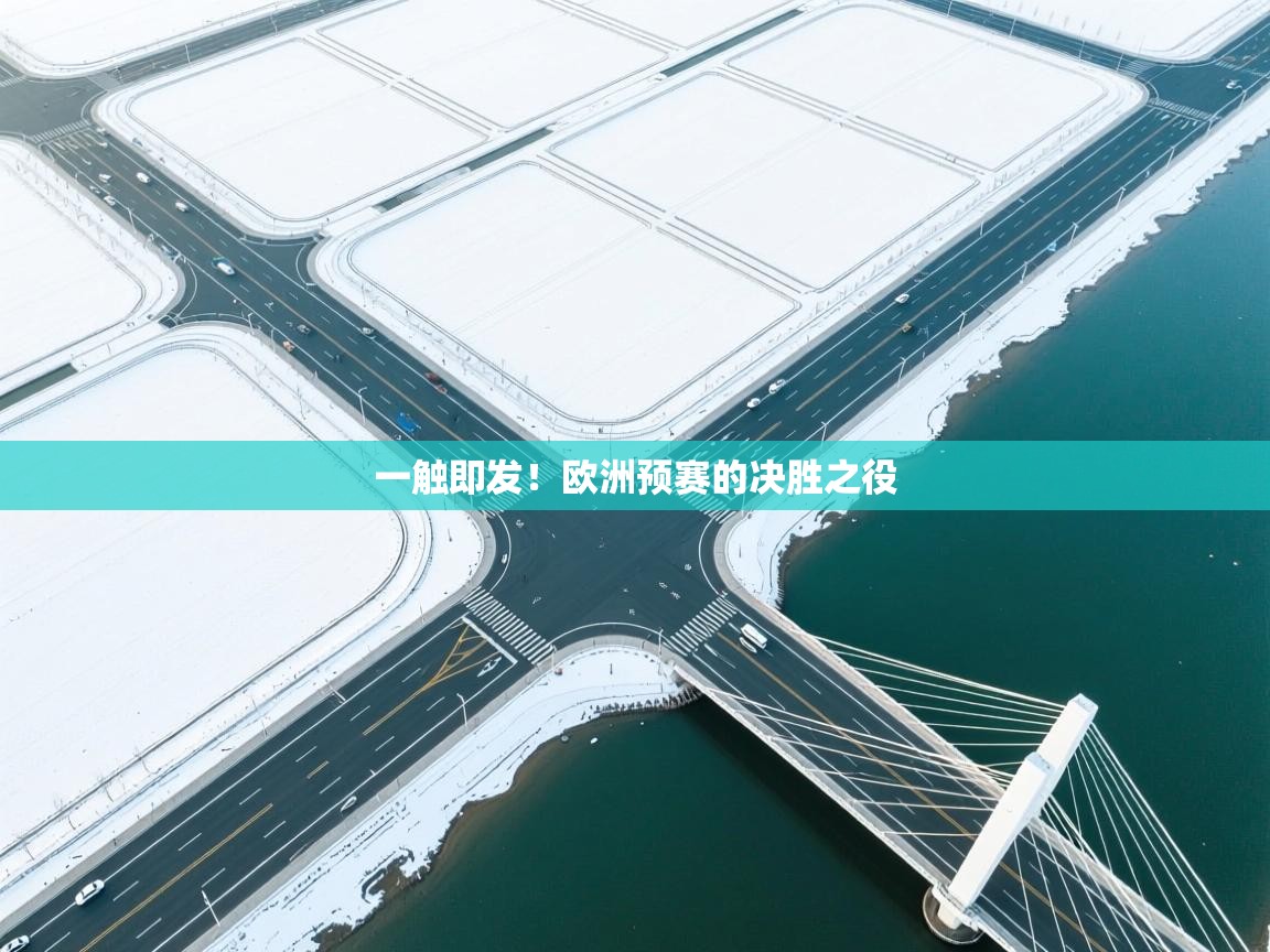 开云体育app安装-一触即发!欧洲预赛的决胜之役 第3张