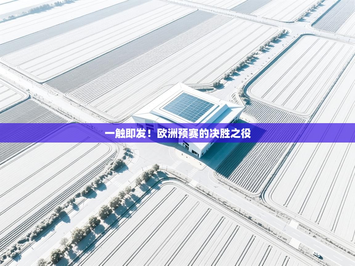 开云体育app安装-一触即发!欧洲预赛的决胜之役 第4张