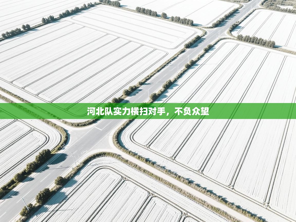 开云体育忘记密码找回-河北队实力横扫对手，不负众望