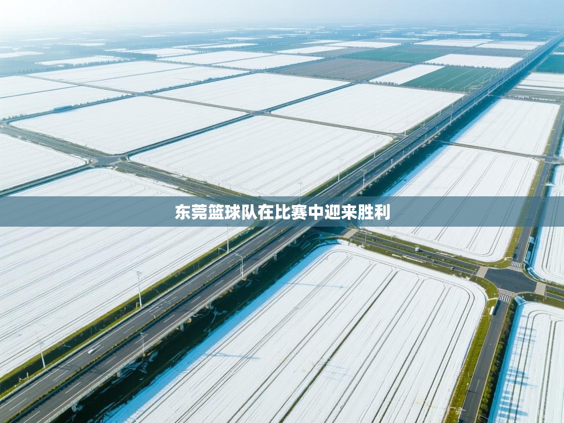 开云APP-东莞篮球队在比赛中迎来胜利 第3张